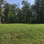 Lot #3